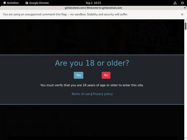 Active Girls In Steel Passwords Active Girls In Steel Passwords