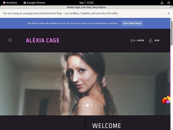 Alexiacage.modelcentro.com Get Password