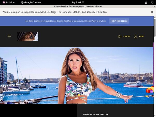 AllisonDesire Discount Checkout