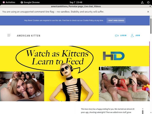 Americankittens Password Accounts