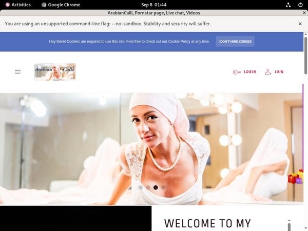 [Image: ArabianCalli-Pasword.jpg]