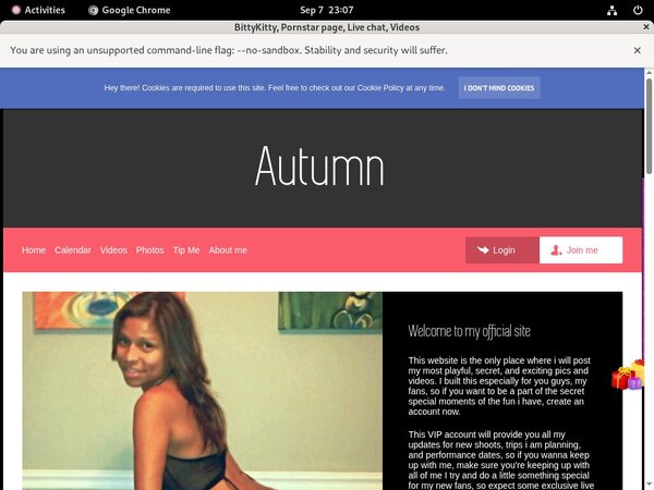 BittyKitty Paypal Epoch