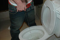 Boys Pissing Get Membership s2 Boys Pissing Get Membership s2