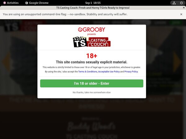 Com Ts-castingcouch Login Account