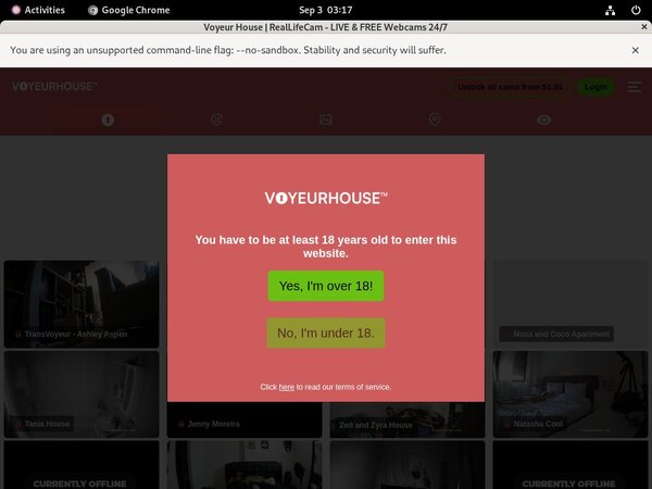 Discount Codes Voyeur House
