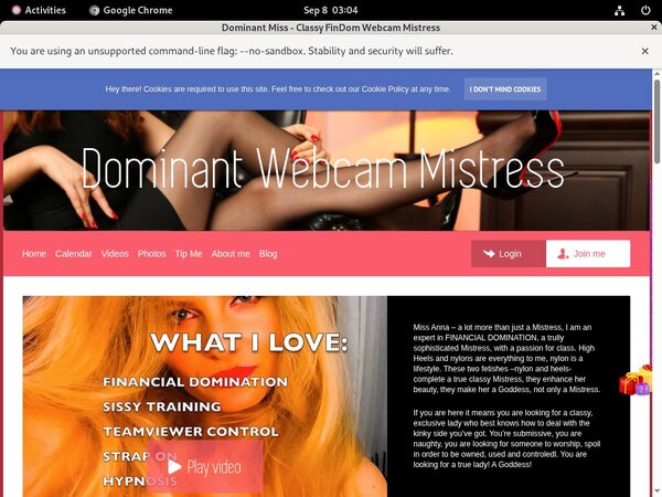 Dominant Miss - Classy FinDom Webcam Mistress Photo