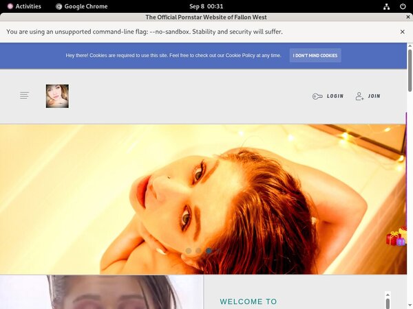 Fallonfuckingwest.com