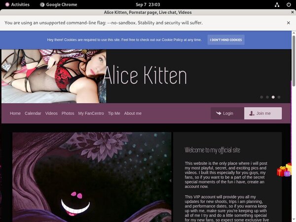 Free Alice Kitten Account Password Free Alice Kitten Account Password