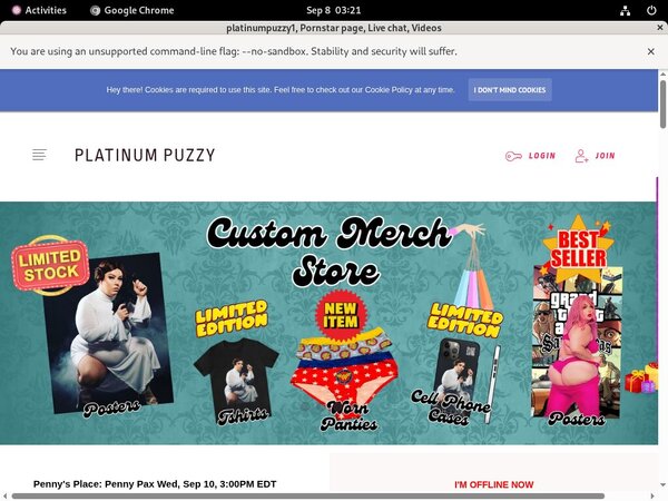 Free Platinumpuzzy Login And Pass