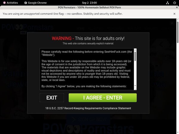 Free Video POV Pornstars