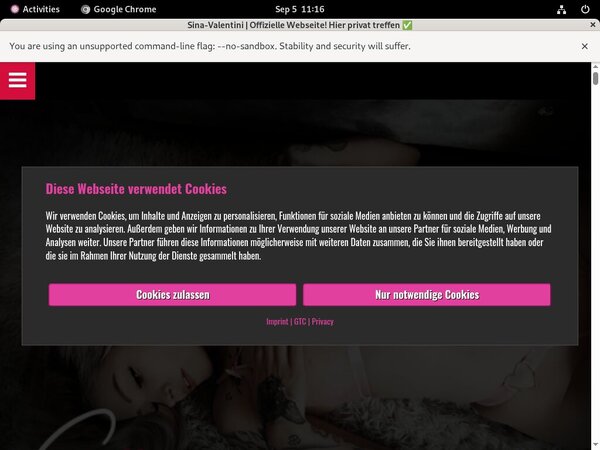[Image: Free-Working-SinaValentini-Logins.jpg]