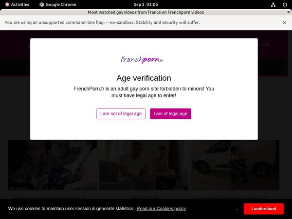 French Porn Gay Without Joining