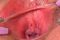 Gape My Pussy Order Page s1