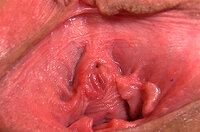 Gape My Pussy With EUDebit s2