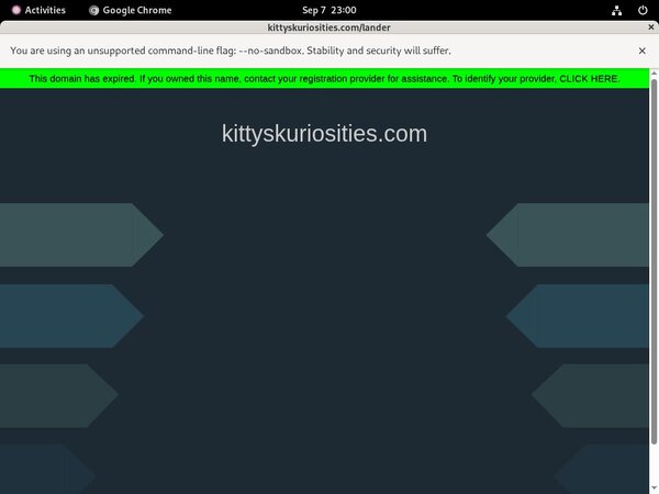Get Free Kitty's Kuriosities Passwords