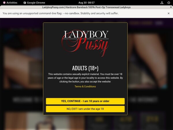 Ladyboy Pussy Pictures
