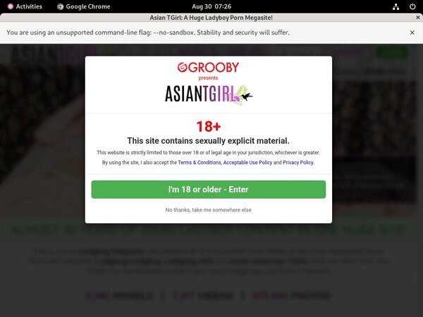 Ladyboy-ladyboy.com Premium Pass