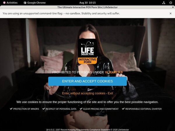 Life Selector Download