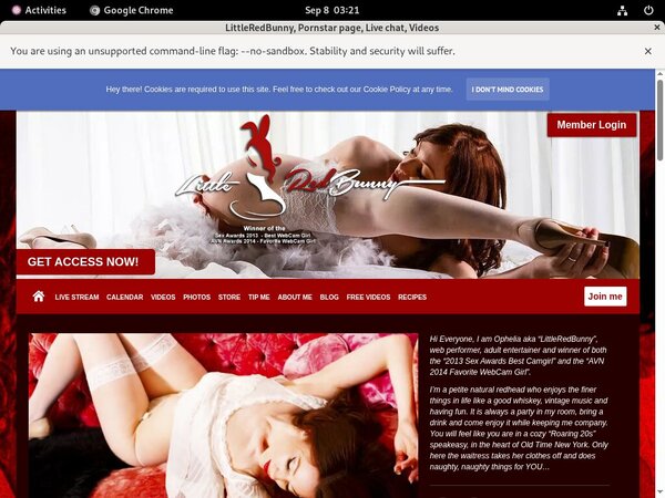 LittleRedBunny Updated Passwords