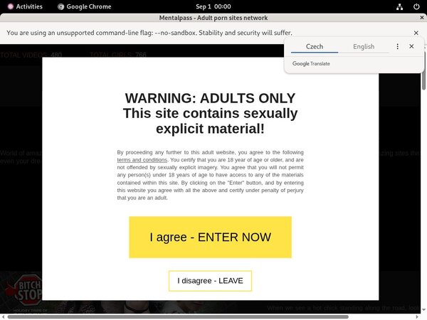 Mental Pass Porn Pictures