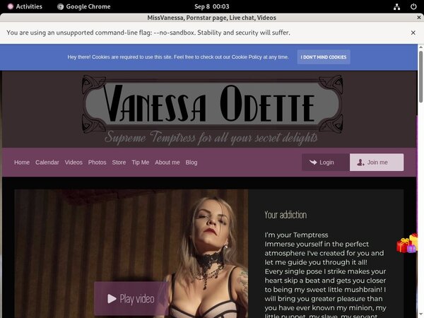 Missvanessa.modelcentro.com With AOL Account