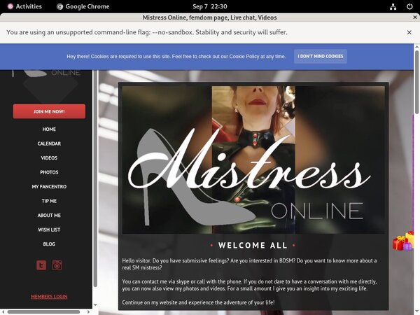 MistressOnline Automatische Kassen MistressOnline Automatische Kassen