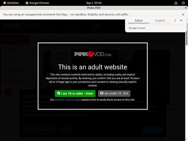 Pinkovod.com Free Site