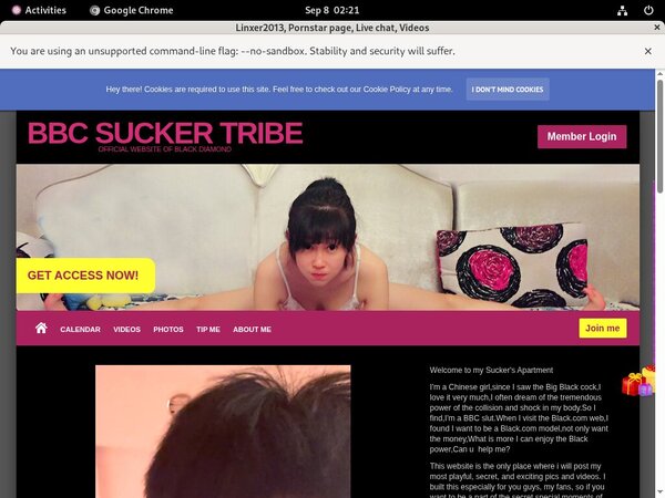 Porn Linxer2013.modelcentro.com Free