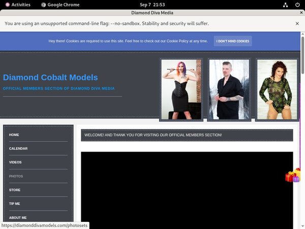 Premium Account Diamonddivamodels.com Free Premium Account Diamonddivamodels.com Free