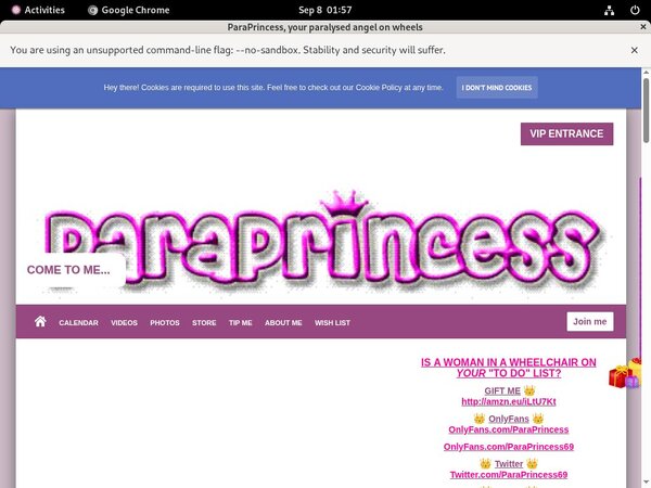 Premium Paraprincess.com Site Rip