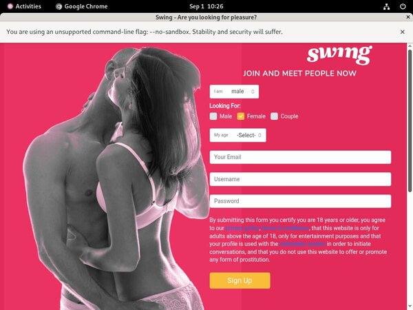 Premium Swing.net Accounts