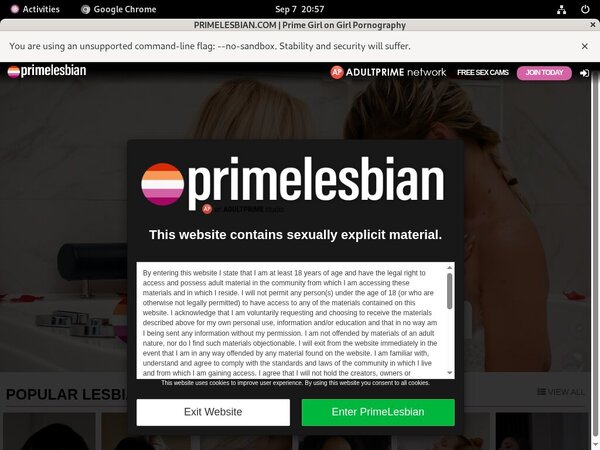 Primelesbian.com Webcams Primelesbian.com Webcams