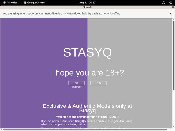 Register For Stasyq