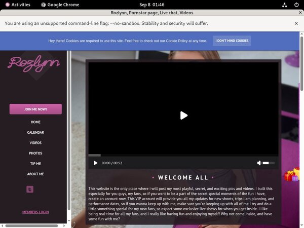 Rozlynn.modelcentro.com Acc