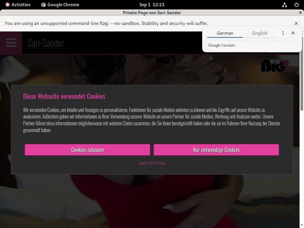 Sari-sander.com Pantyhose
