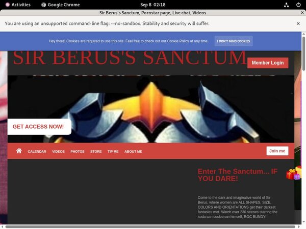 Sir Berus's Sanctum Subscriptions