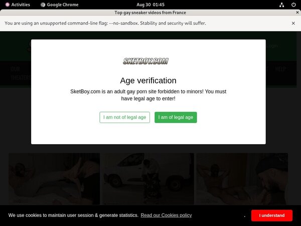 Sketboy.com Latest Passwords