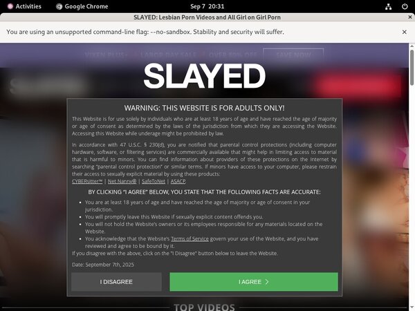 Slayed Segpay Slayed Segpay
