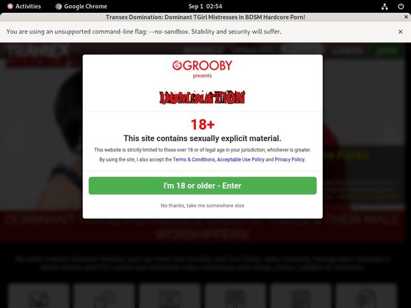 Transexdomination Men