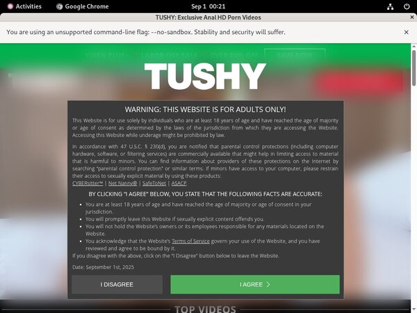 Tushy Logins