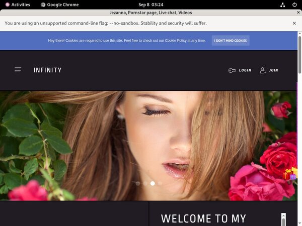 Using Paypal Tdelightxgmailcom.modelcentro.com