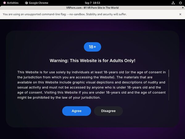 VR Porn Passcode