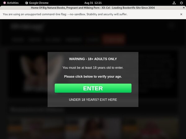 XX-Cel With Bank Account XX-Cel With Bank Account