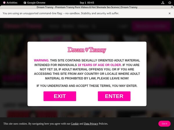 Dreamtranny Login Generator