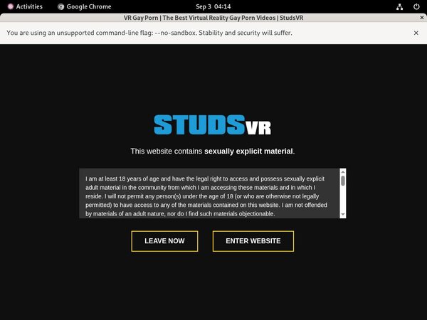 Studs VR Free Accounts And Passwords