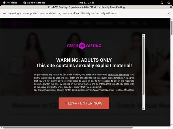Czech VR Casting Probiller Czech VR Casting Probiller