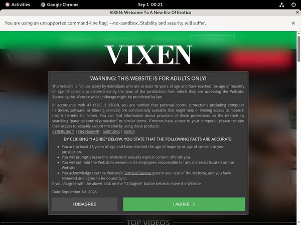 Pay For Vixen.com
